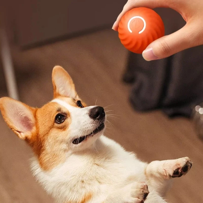 ลูกบอลไฟฟ้าอัตโนมัติสีส้ม พอร์ต USB สําหรับฝึกสุนัขและแมว - Image 3