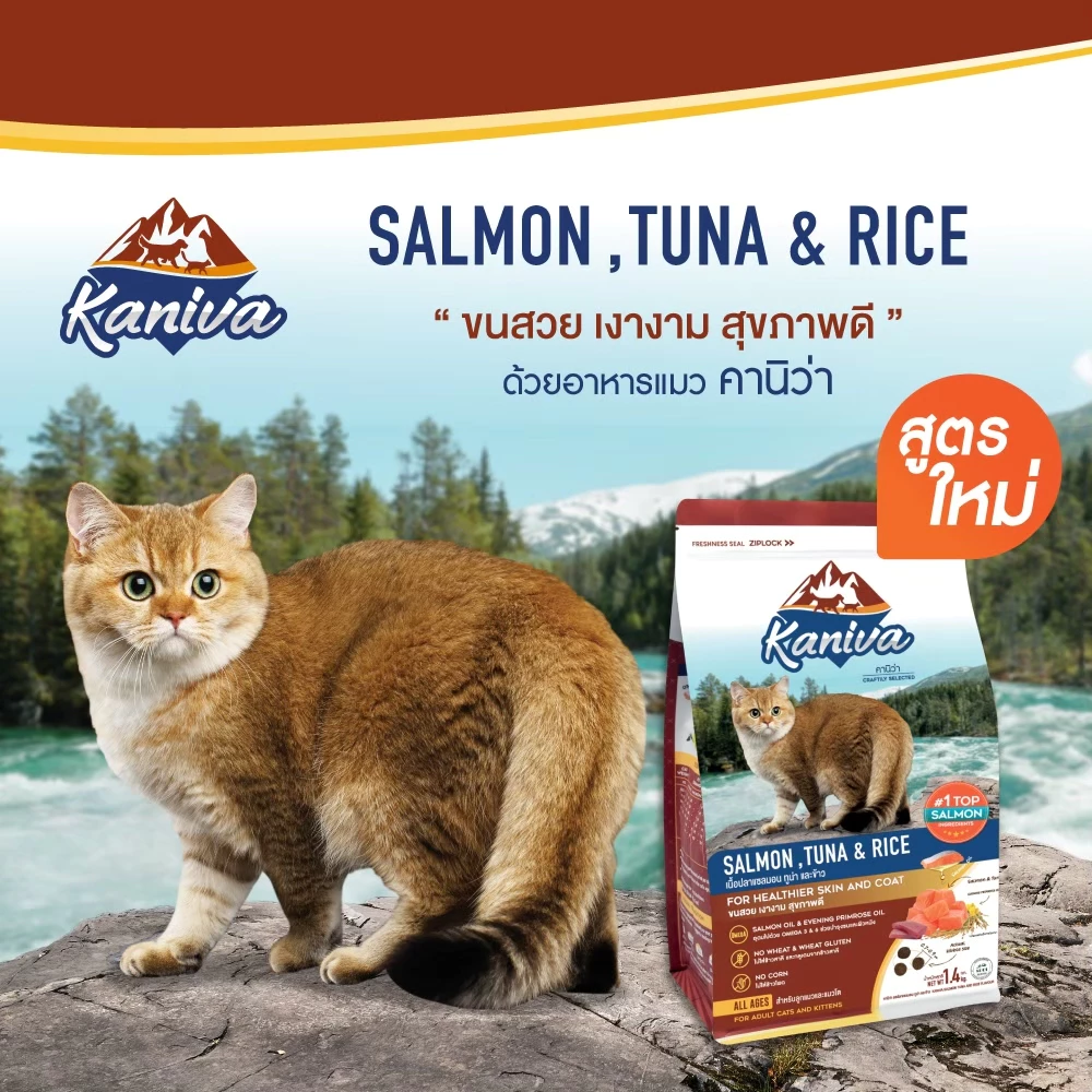 Kaniva Salmon 3 KG. อาหารแมว สูตรเนื้อปลาแซลมอน ปลาทูน่าและข้าว สำหรับแมวทุกช่วงวัย - Image 2