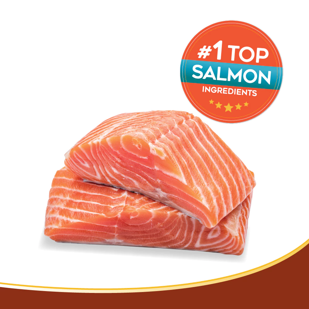 Kaniva Salmon 3 KG. อาหารแมว สูตรเนื้อปลาแซลมอน ปลาทูน่าและข้าว สำหรับแมวทุกช่วงวัย - Image 3