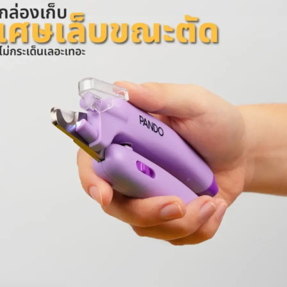 th-11134207-7r98r-lv1kib5rkkc3c6-e1736774274956